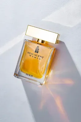 HUG SCENT | moh.versatsi 